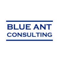 Blue Ant Consulting Pte Ltd logo - Similar company to Stamtafel