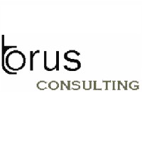 Torus Consulting Ltd logo - Similar company to Taurus Digital