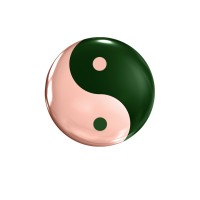 Yin Yang Wellness Center logo - Similar company to Cs Visual Storytelling