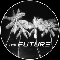 THE FUTURE logo - Similar company to Safepc Solutions