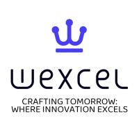 Wexcel Innovative Solutions logo - Similar company to Mobicar.Ca