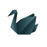 Cygnus Technologies logo - Similar company to Cygnus Technologies, Llc