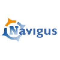 Navigus logo - Similar company to Navigus Consulting