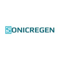 SonicRegen logo - Similar company to 3Dpl Co.
