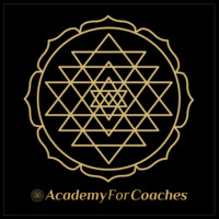 Academy For Coaches logo - Similar company to Iiche Hit Sc