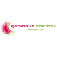 GENINDUS ENERNOV logo - Similar company to Electeez