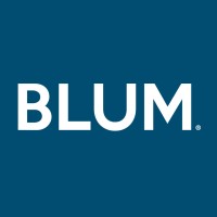 BLUM Desarrollo Organizacional & Comunicación Interna logo - Similar company to Happiness At Work México