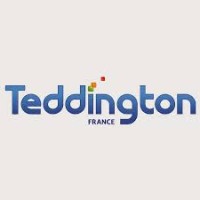 Teddington France logo - Similar company to Dessica Dehumidification