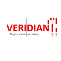 Veridian Sagl logo - Similar company to Veridian Group