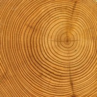 cambium.be