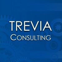 Trevia Consulting LLC logo - Similar company to Machinelife