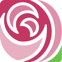 STEELE ROSE LIMITED