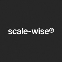 scalewise logo - Similar company to Sam Wall Digital