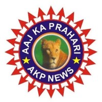 AKP News logo - Similar company to Dd Bihar