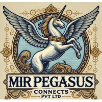 Mir Pegasus Connects Private Limited logo - Similar company to Intask Business Process Services