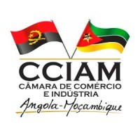 CÂMARA DE COMÉRCIO E INDÚSTRIA ANGOLA MOÇAMBIQUE logo - Similar company to Sds Visão