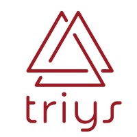 Triys Consulting Sdn Bhd logo - Similar company to Amsa Ums