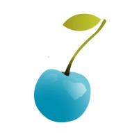 The Blue Cherry Consultancy logo - Similar company to Digital Concept Network