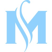 Mesirshop logo - Similar company to Biri Cloud
