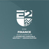E2SE Finance logo - Similar company to E2Se Digital It