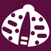 deskripta logo - Similar company to Lft Leading Foot Technology