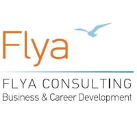 Flya Consulting logo - Similar company to Sapbpcanalytics G.P