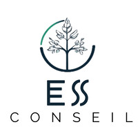 ES CONSEIL logo - Similar company to Es Conseil