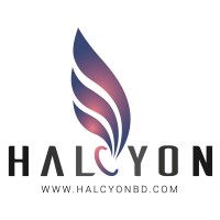Halcyon Digital logo - Similar company to D'Reach