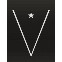 VisionTriumph logo - Similar company to Green Owl Vodka