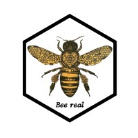 Bee real logo - Similar company to Astiki Melissa