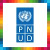 PNUD Cuba logo - Similar company to Becas Para Todos