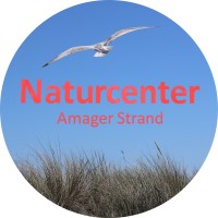 Naturcenter Amager Strand logo - Similar company to Useeum