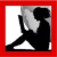 Pro Media Art logo - Similar company to Brain Teasers, Inc.