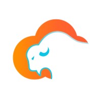 Blue Bison Software Solutions logo - Similar company to Blue Bison Software Solutions