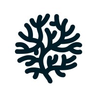 Black Coral Contracting & Consulting, Llc