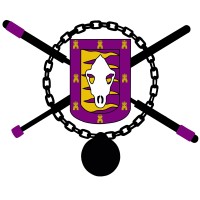 Asociación de Jugger y Softcombat de Valladolid logo - Similar company to Jugger