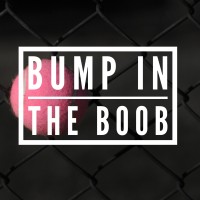 Bump In The Boob logo - Similar company to The Better Boob Lactation