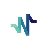 Networth Nurse logo - Similar company to Willow Investment Group