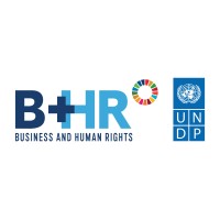 UNDP B+HR logo - Similar company to Polski Instytut Praw Człowieka I Biznesu (Polish Institute For Human Rights And Business)