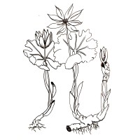 Generative Health logo - Similar company to Exhibitgrow