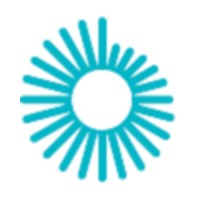 New York State Society of Opticians logo - Similar company to Alternative Information Systems