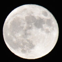 Harvest Moon Photography