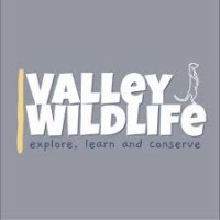 Valley Wildlife logo - Similar company to Forest Schools Education