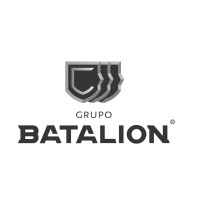 Batalion Seguridad logo - Similar company to Datah