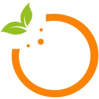 Orange Bureau International logo - Similar company to Condis Pakistan