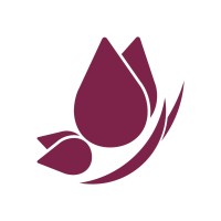 Plucky Store logo - Similar company to Braver Corporation