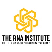 The RNA Institute, University at Albany logo - Similar company to Acm Cloud @ Ucla