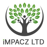 iMPACZ logo - Similar company to Techlit Solutions