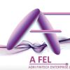 A FEL logo - Similar company to Guruvaan