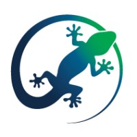 Lizztech Consulting logo - Similar company to Sumolab Total Business Marketing